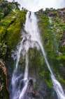 Stirling Falls, Milford Sound, Fiordland National Park, South Island, New Zealand Art Print